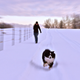 Image for article titled Zoom Photo Challenge Gallery 1